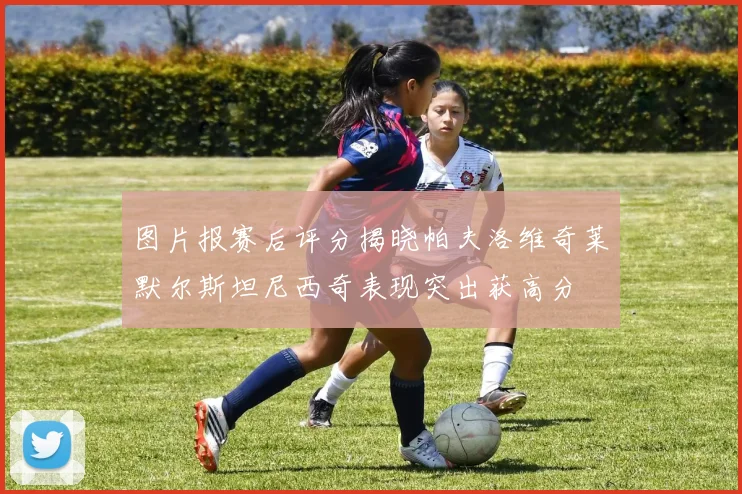 图片报赛后评分揭晓帕夫洛维奇莱默尔斯坦尼西奇表现突出获高分