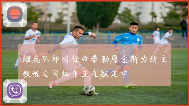 雄鹿队即将任命泰勒詹金斯为新主教练合同细节正在敲定中