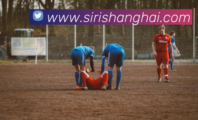 多媒体互动体验